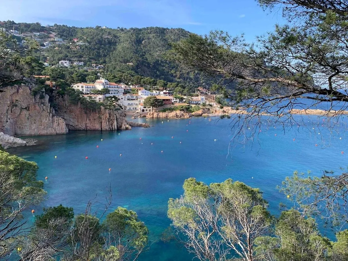 Cosy Flat With Terrace, Swimming Pool And Parking In Begur Apartment